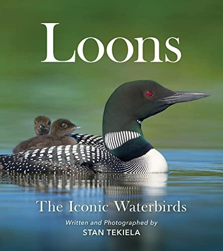Loons: The Iconic  - Waterbirds (Favorite  - Wildlife)