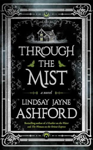 Through the Mist: A Novel