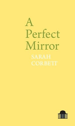 A Perfect Mirror (Pavilion Poetry)