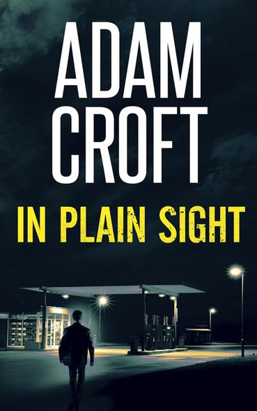In Plain Sight (Knight & Culverhouse)