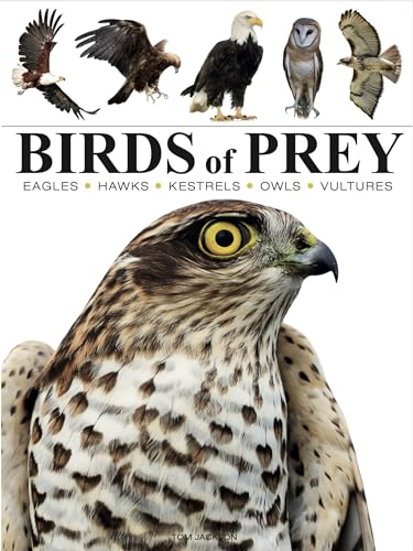 Birds of Prey (Mini Animals)