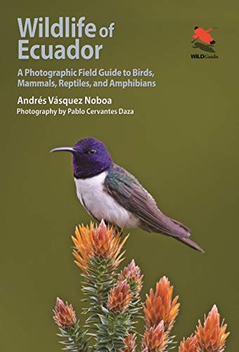 Wildlife of Ecuador: A Photographic Field Guide to Birds, Mammals, Reptiles, and Amphibians - Princeton University Press (WILDGuides)