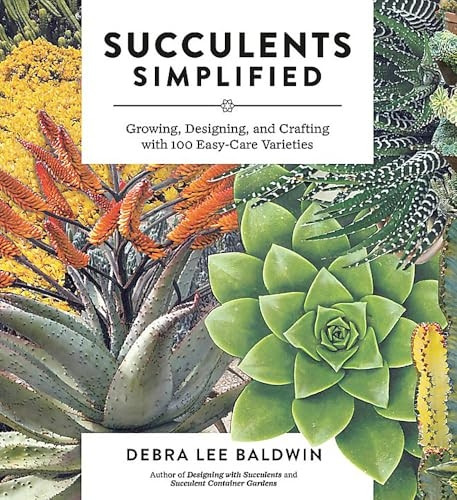 Succulents Simplified