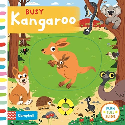 Busy Kangaroo (Busy Books) [Board book]
