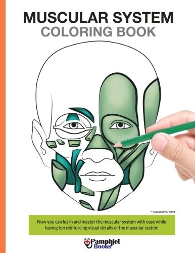 Muscular System Coloring Book