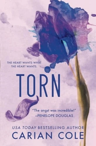 Torn (All Torn Up)