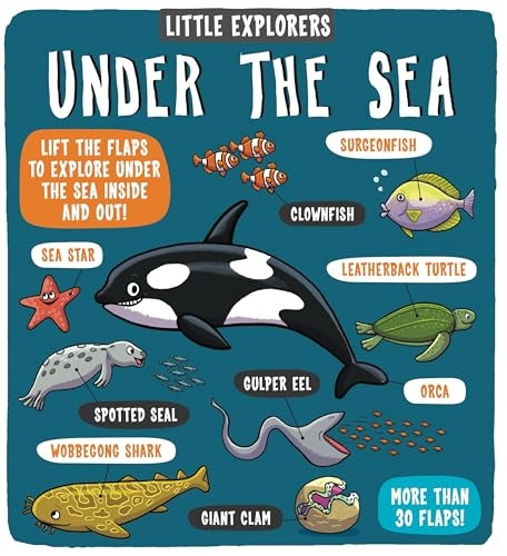 Little Explorers Under the Sea
