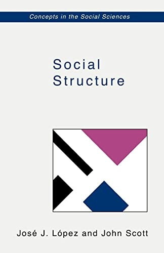 Social Structure (Concepts in the Social Sciences)