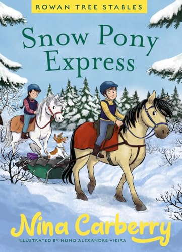 Rowan Tree Stables 3 -  Snow Pony Express