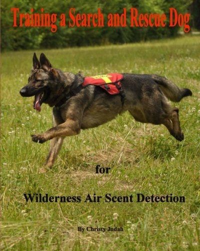Training a Search and Rescue Dog: for Wilderness Air Scent