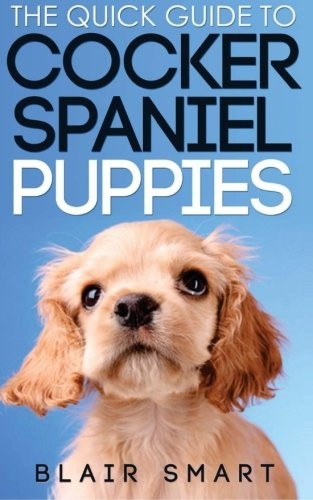The Quick Guide to Cocker Spaniel Puppies