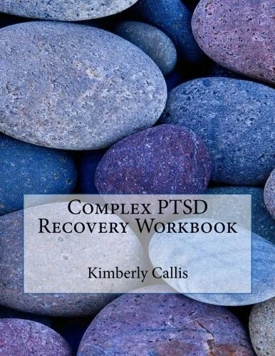 Complex PTSD Recovery Workbook: An Informed Patient's Perspective on Complex PTSD (Stoning Demons)