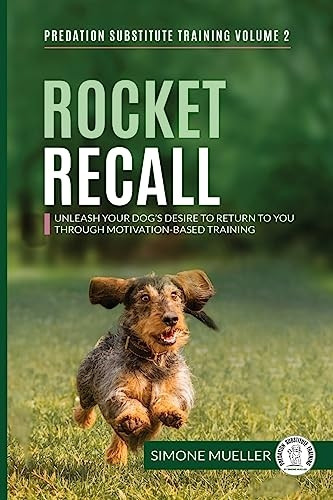 Rocket Recall
