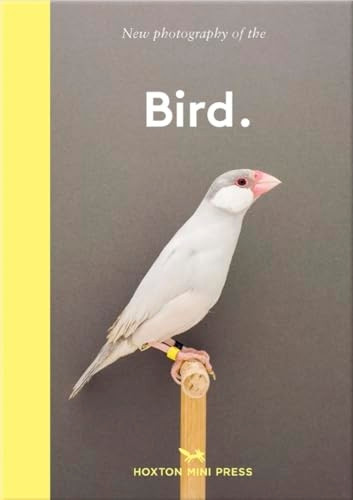 Bird.: The best new photography of birds