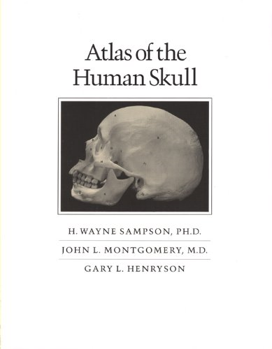 Atlas of the Human Skull