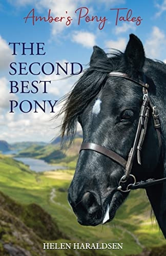 The Second Best Pony (Amber's Pony Tales)