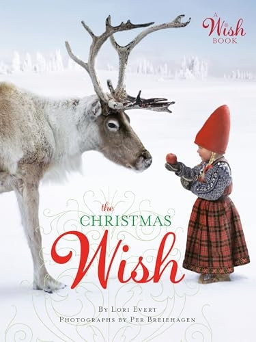 The Christmas Wish (A Wish Book) [Board book]