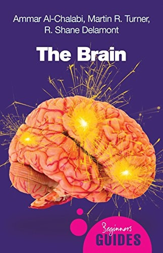 The Brain: A Beginner's Guide (Beginner's Guides)