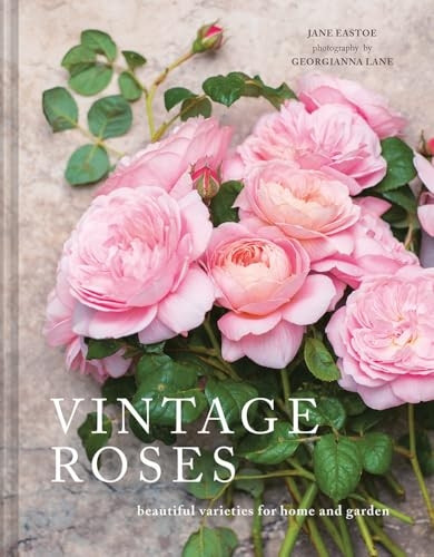 Vintage Roses: Beautiful varieties for home and garden