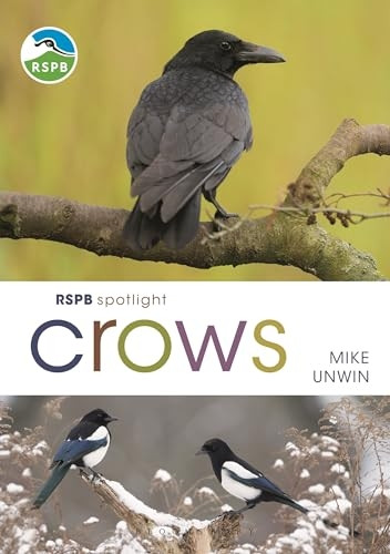 RSPB Spotlight Crows (RSPB)
