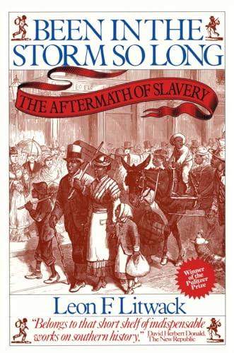 Been in the Storm So Long: The Aftermath of Slavery