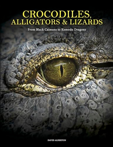 Crocodiles, Alligators & Lizards: From Black Caimans to Komodo Dragons (Animals)