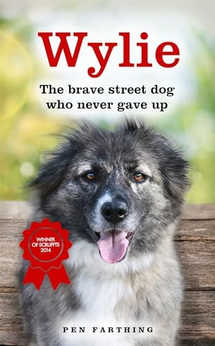 Wylie: The Brave Street Dog Who Never Gave Up