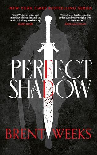 Perfect Shadow: A Night Angel Novella