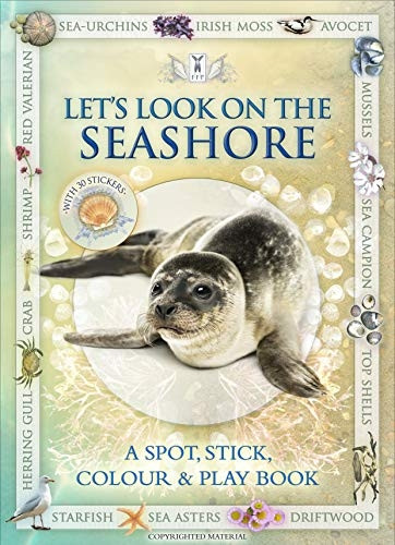 Let's Look On the Seashore: A Natural History Activity Book