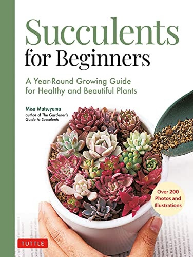 Succulents for Beginners: A Year-Round Growing Guide for Healthy and Beautiful Plants