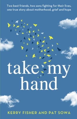 Take My Hand: Two best friends, two sons fighting for their lives, one true story about motherhood, grief and hope.