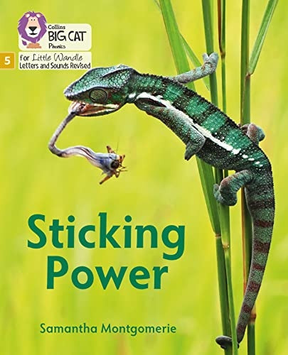 Big Cat Phonics for Little Wandle Letters and Sounds Revised - Sticking Power: Phase 5 (Big Cat Phonics for Little Wandle Letters and Sounds Revised)