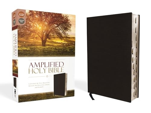 AMPLIFIED THINLINE BIBLE BND BLK BND IDX
