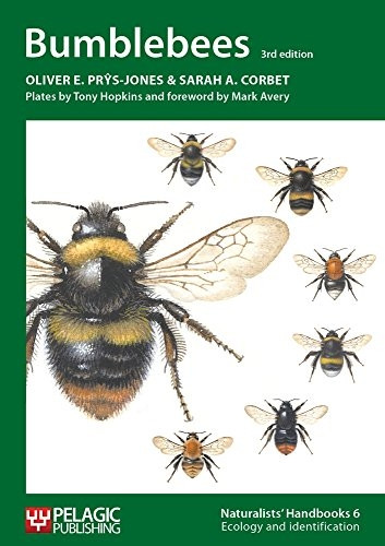 Bumblebees: 6