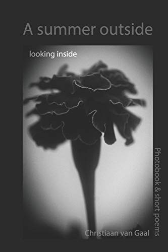 A Summer Outside Looking Inside
