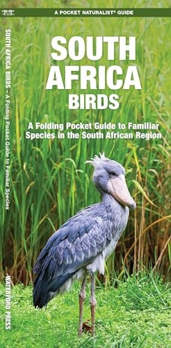 South Africa Birds (A Pocket Naturalist Guide)