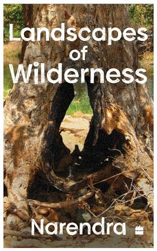Landscapes Of Wilderness