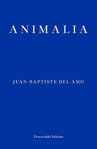 Animalia