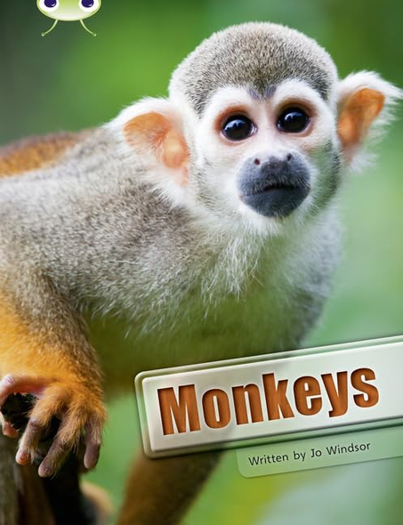 Bug Club Non-fiction Monkeys (white A / NC 2A)