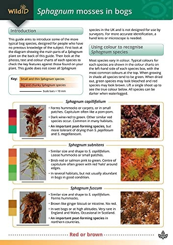 Field Guide to Sphagnum Mosses in Bogs (Chart)