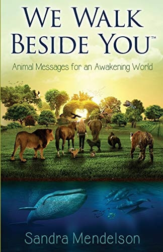 We Walk Beside You: Animal Messages for an Awakening World (We Walk Beside You)