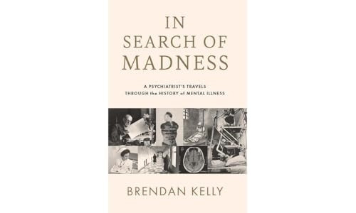 In Search of Madness: A psychiatrist's travels through the history of mental illness