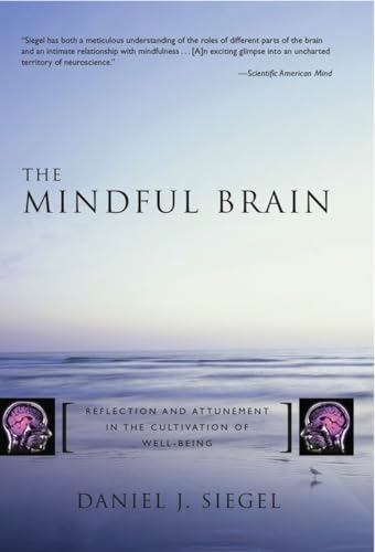 The Mindful Brain in Human Development: Reflection and Attunement in the Cultivation of Well-being