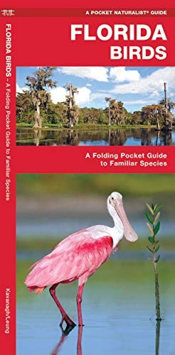 Florida Birds (Pocket Naturalist)