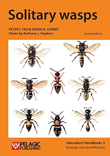 Solitary wasps (Naturalists Handbooks)