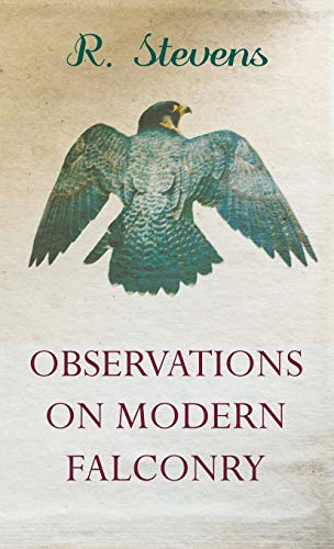 Observations On Modern Falconry