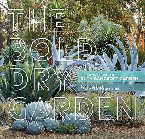 Bold Dry Garden, The
