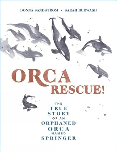 Orca Rescue!: The True  - Story of an Orphaned Orca  - Named Springer