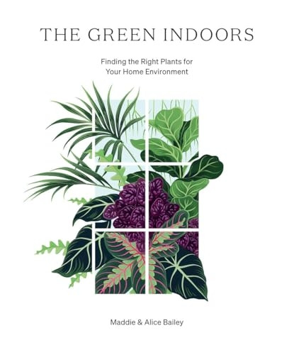 The Green Indoors: Finding  - the Right Plants for Your  - Home Environment