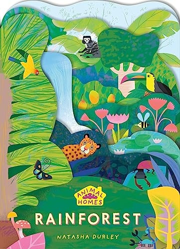 Animal Homes: Rainforest (Animal Homes) [Board book]